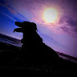 Meet your Posher, Sasha